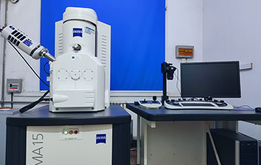 掃描電子顯微鏡